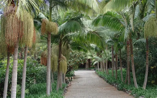 Jardín de la Marquesa