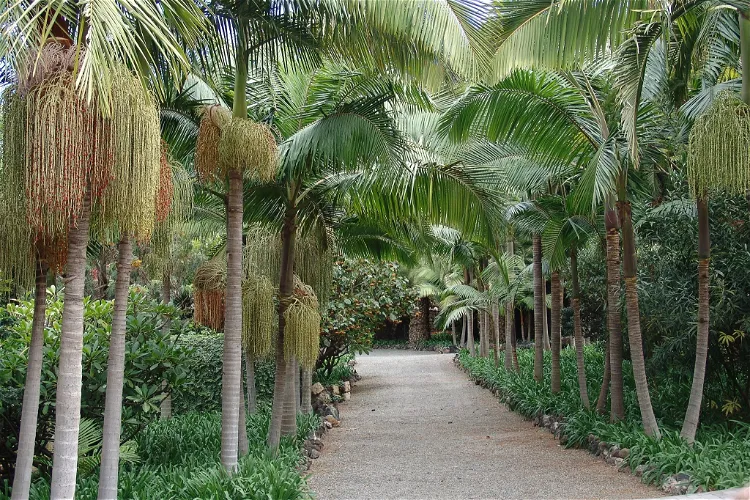 Jardín de la Marquesa