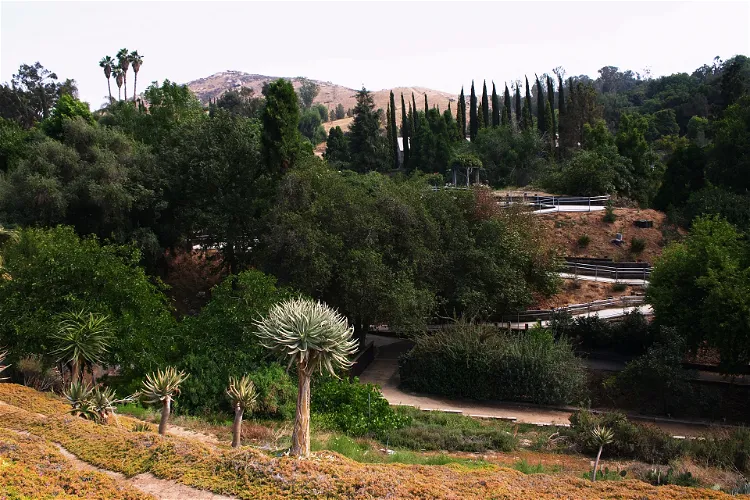 Jardín botánico de la universidad de California, Campus de Riverside