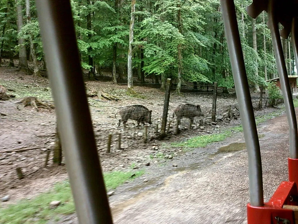 Wild- und Freizeitpark Allensbach