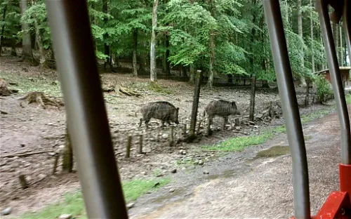 Wildlife and Leisure Park Allensbach