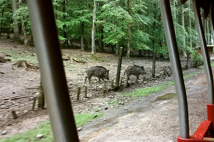 Wildlife and Leisure Park Allensbach