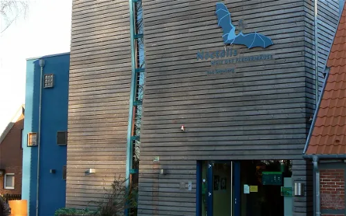 Noctalis – Welt der Fledermäuse