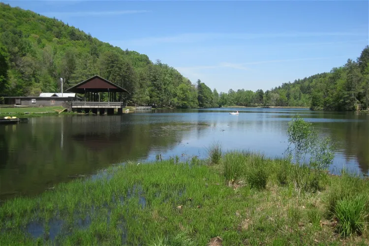 Vogel State Park