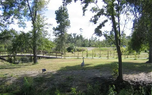 UCF Arboretum - University of Central Florida