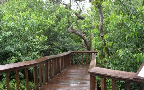 Gumbo Limbo Nature Center