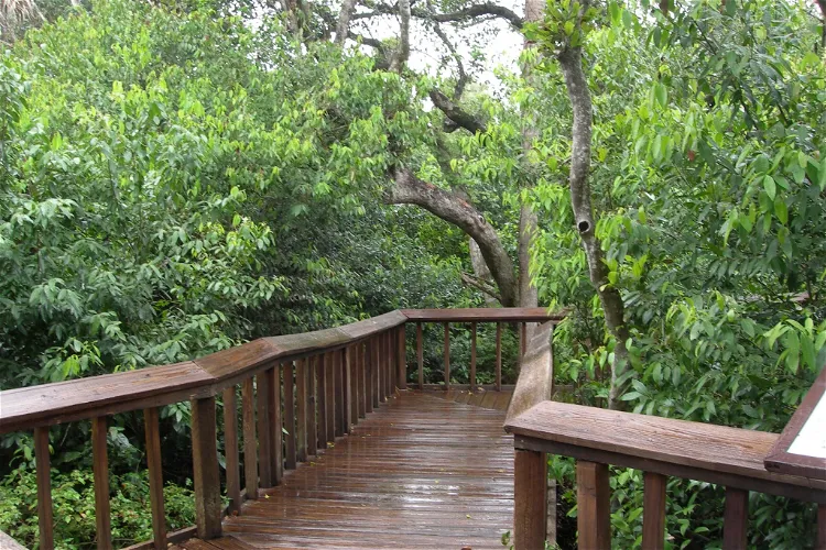 Gumbo Limbo Nature Center