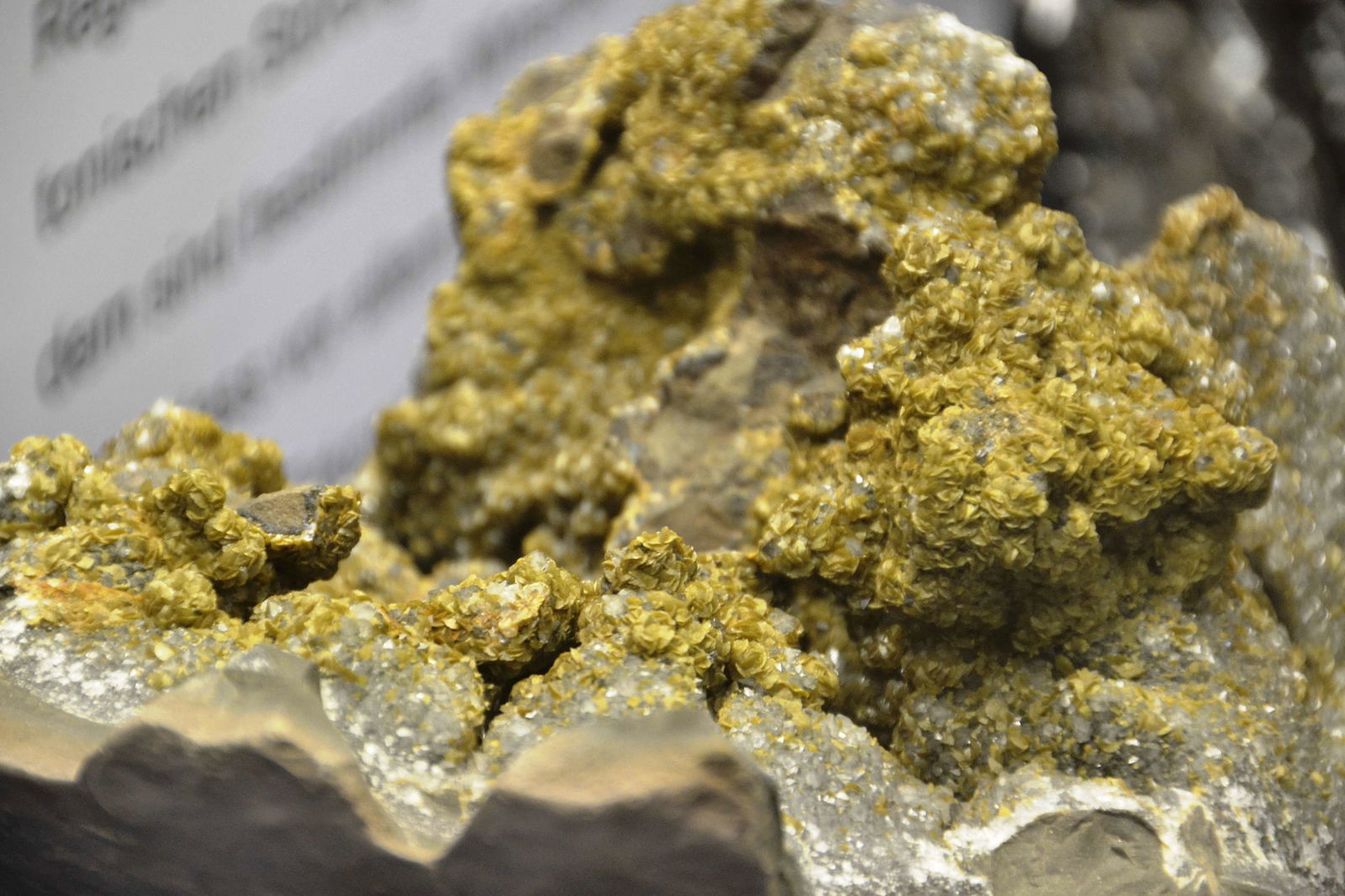 Museum Reich der Kristalle