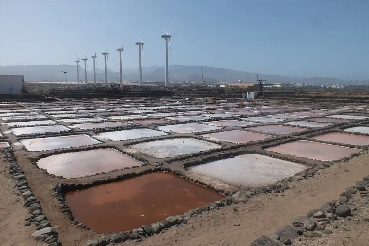 Interpretation Center of Las Salinas de Tenefé