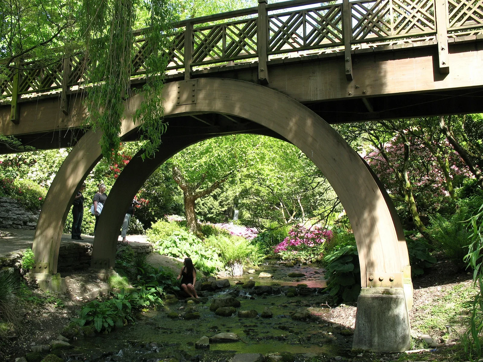 Crystal Springs Rhododendron Garden