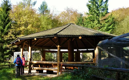 Auerhuhn-Schaugehege