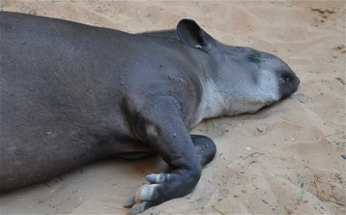 Riverbanks Zoo & Garden