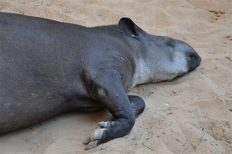 Riverbanks Zoo & Garden