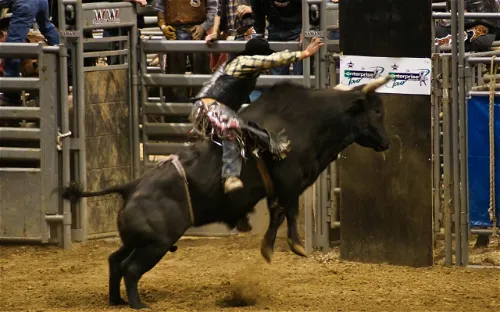ProRodeo Hall of Fame and Museum of the American Cowboy