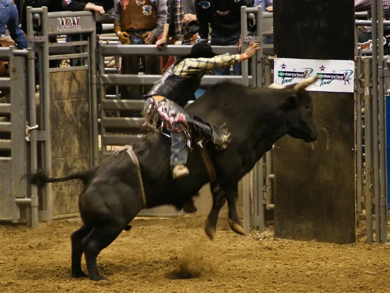 Pro Rodeo Building Colorado ProRodeo Hall of Fame and Museum of the American Cowboy (Colorado ...
