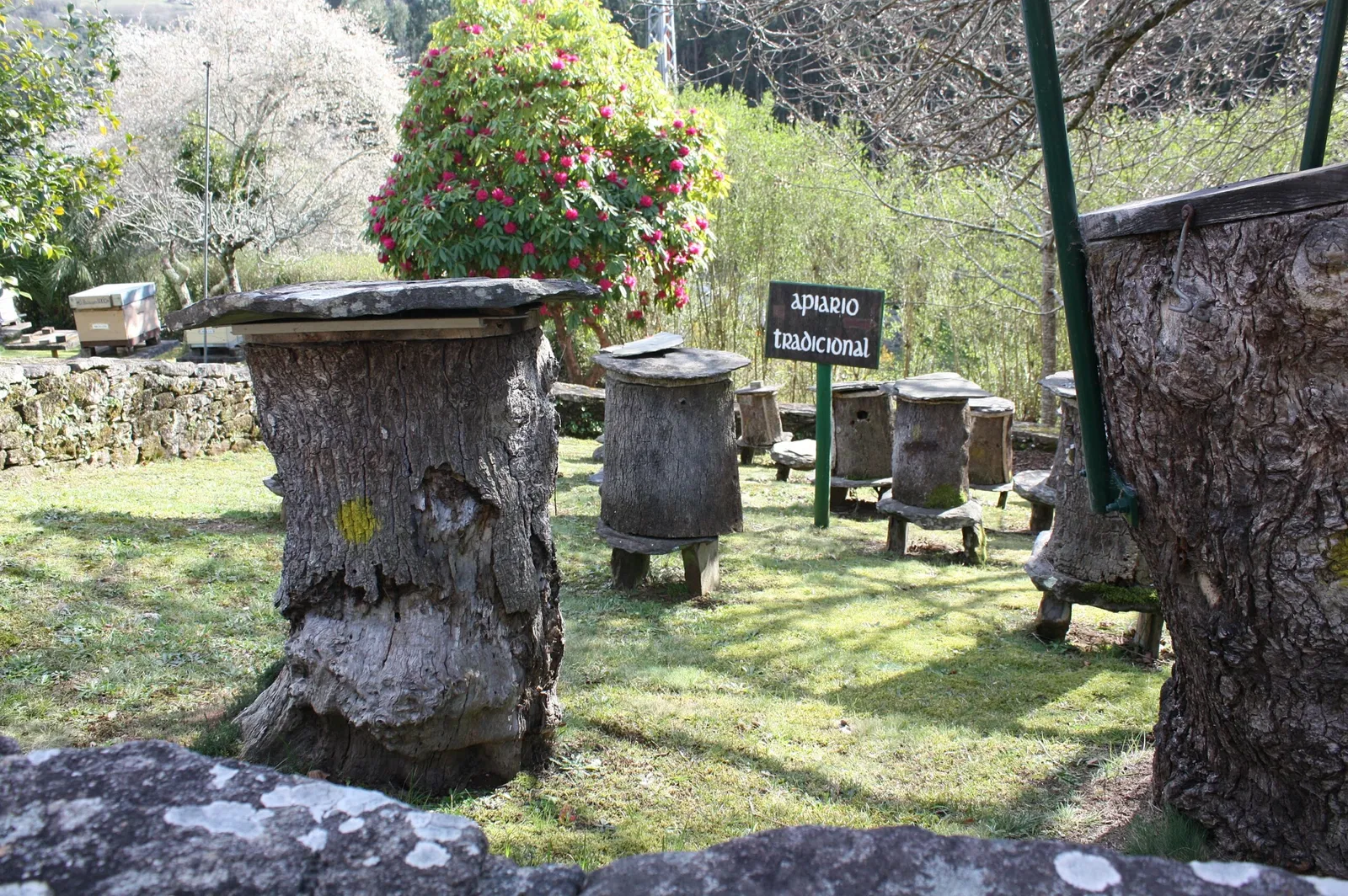 Museo Vivente do Mel