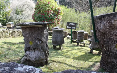 Museo Vivente do Mel