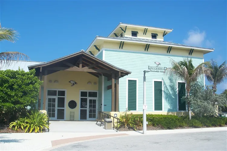 Loggerhead Marinelife Center
