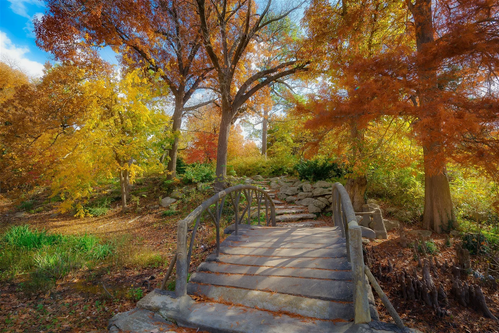 Woodward Park and Gardens