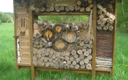 Wildgehege Glauer Tal