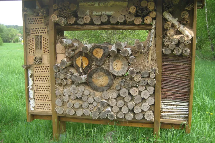 Wildgehege Glauer Tal