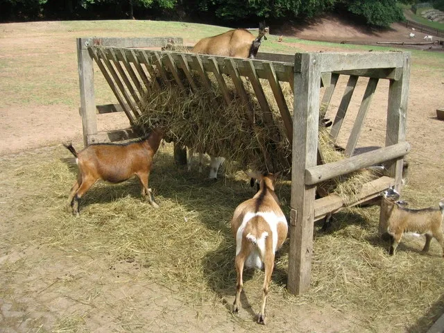 Wild- und Wanderpark Südliche Weinstraße