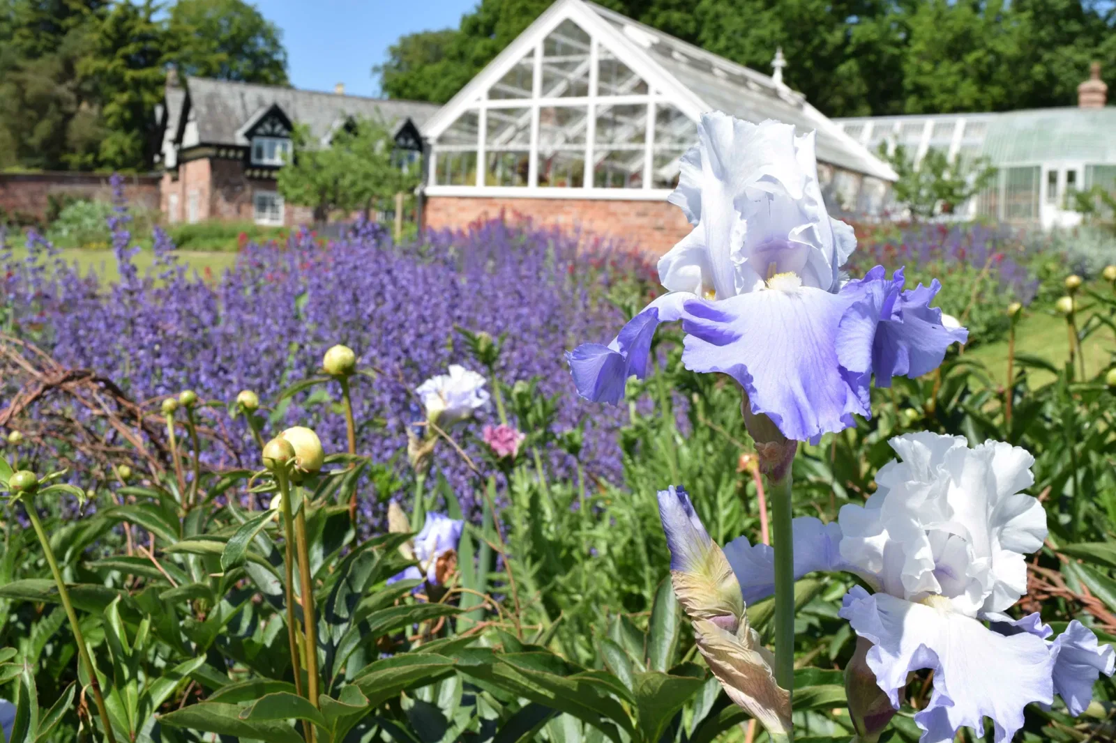 National Trust Quarry Bank