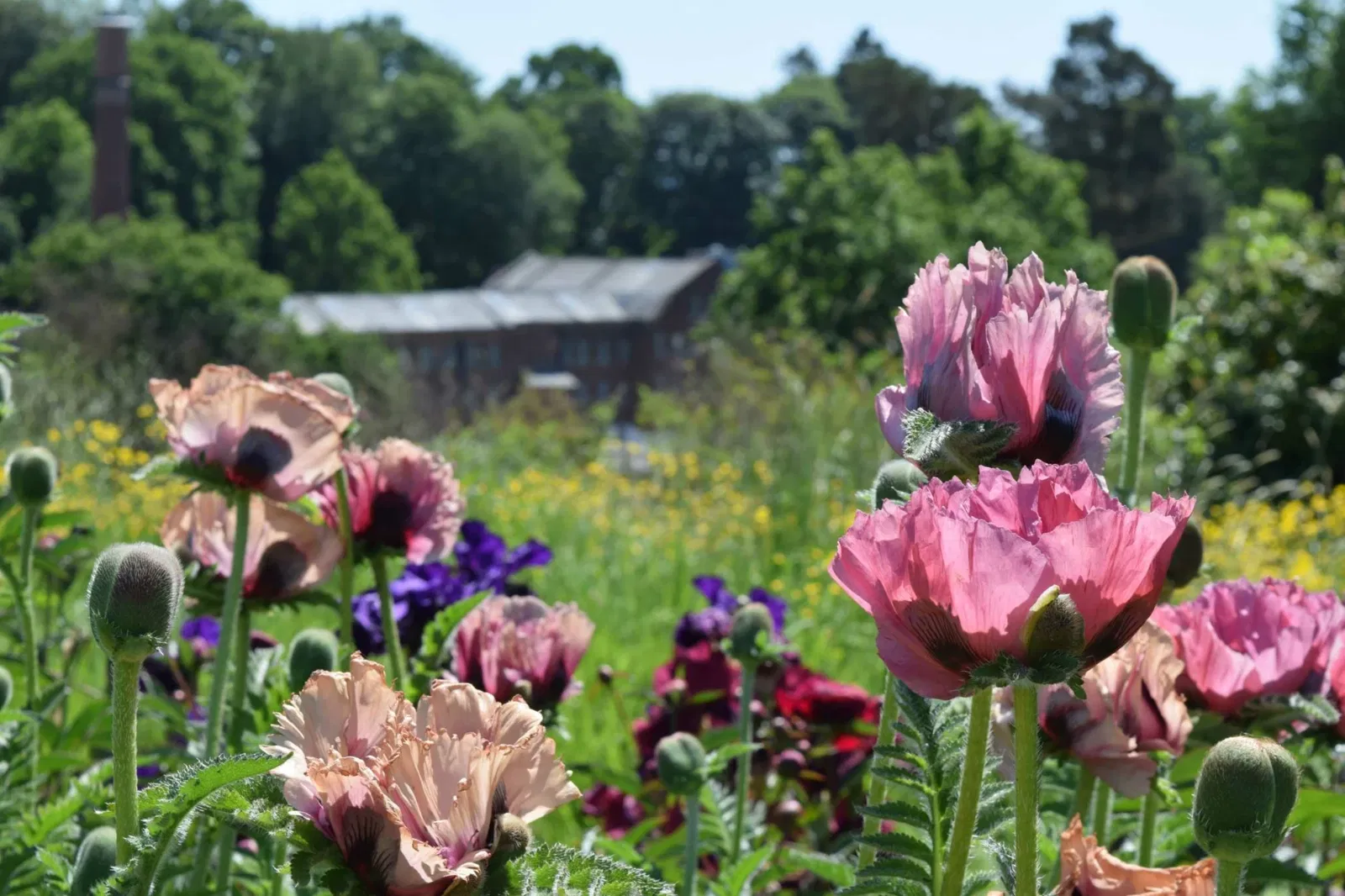 National Trust Quarry Bank