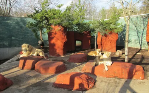 Capron Park Zoo