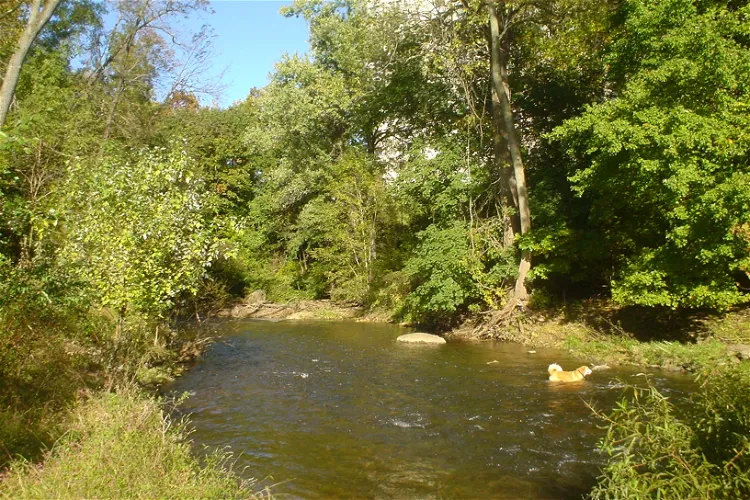 Arboreto conmemorativo Taylor