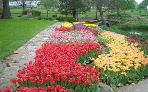 Reinisch Rose Garden