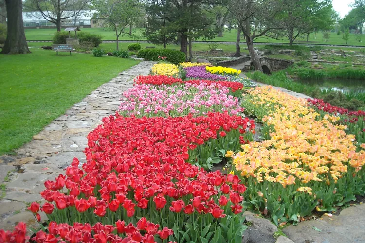 Reinisch Rose Garden