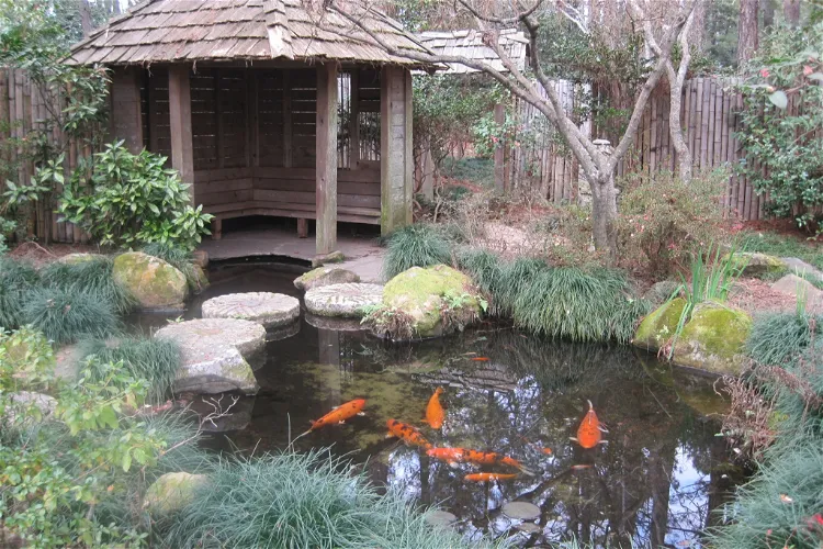 Massee Lane Gardens