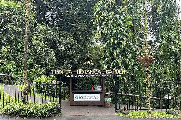Hawaii Tropical Botanical Garden