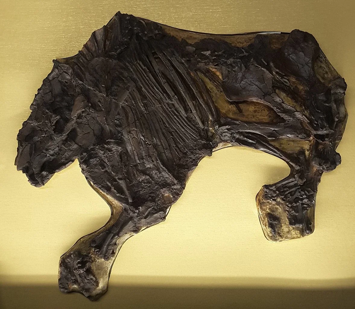 Zentralwerkstatt Pfännerhall