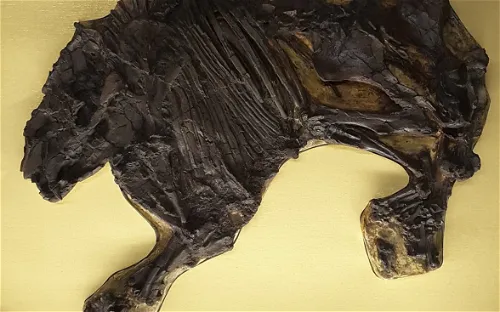 Zentralwerkstatt Pfännerhall