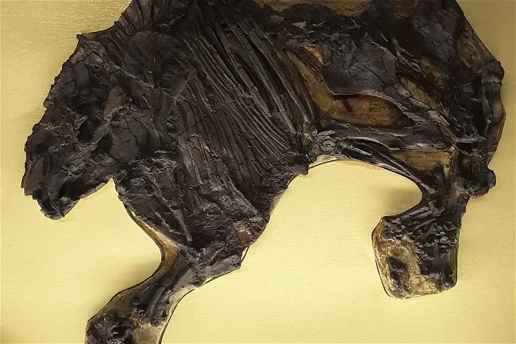 Zentralwerkstatt Pfännerhall