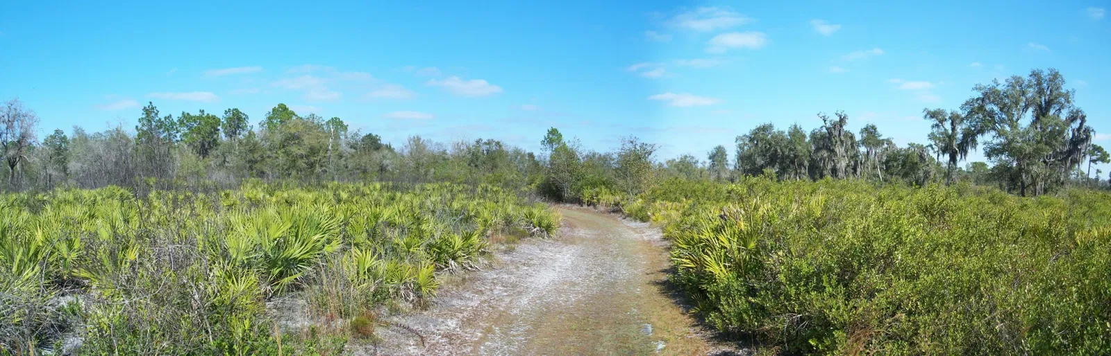 Paynes Creek Historic State Park