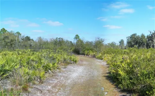 Paynes Creek Historic State Park