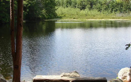 Bear Brook State Park