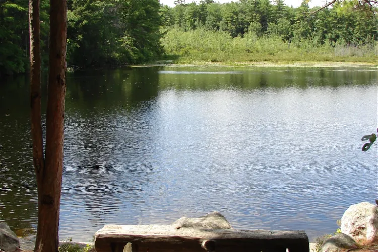 Bear Brook State Park