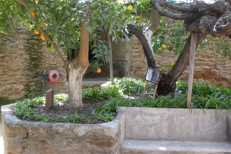 Forestiere Underground Gardens