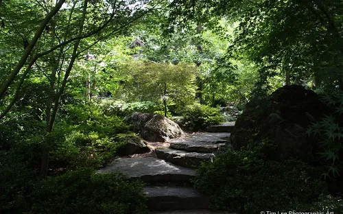 Garvan Woodland Gardens