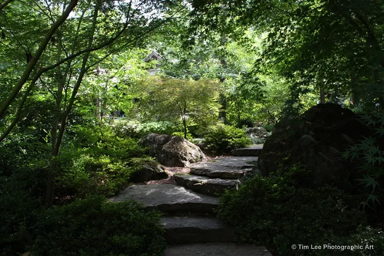 Garvan Woodland Gardens