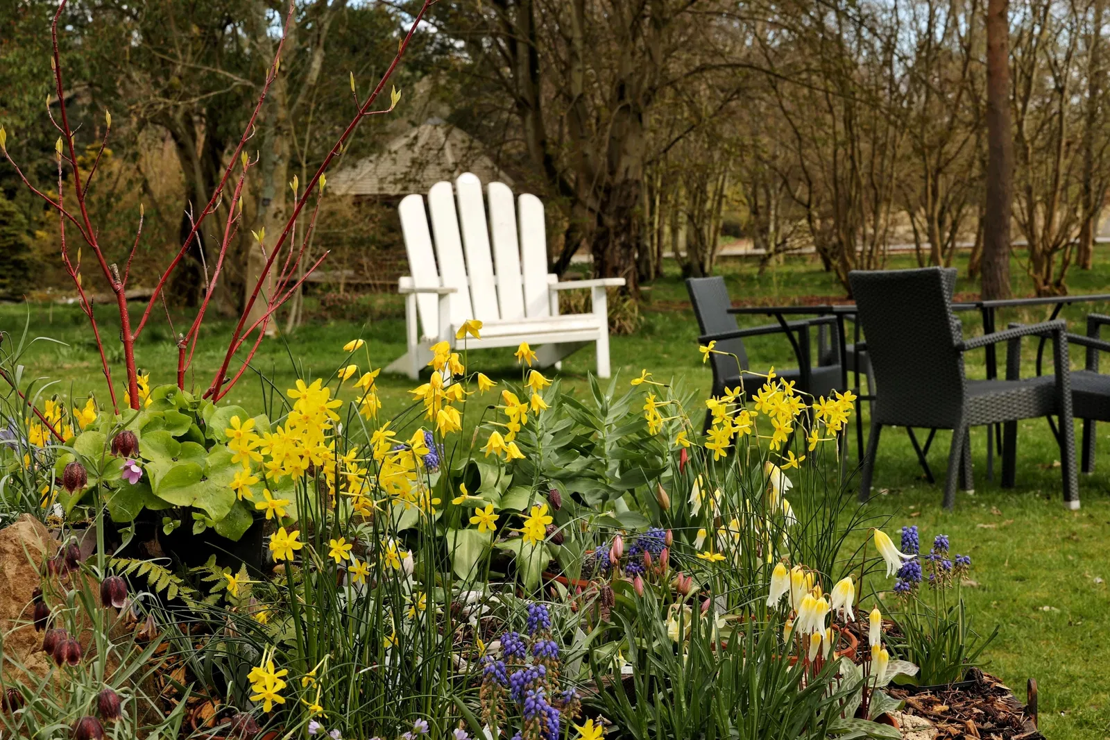 St Andrews Botanic Garden