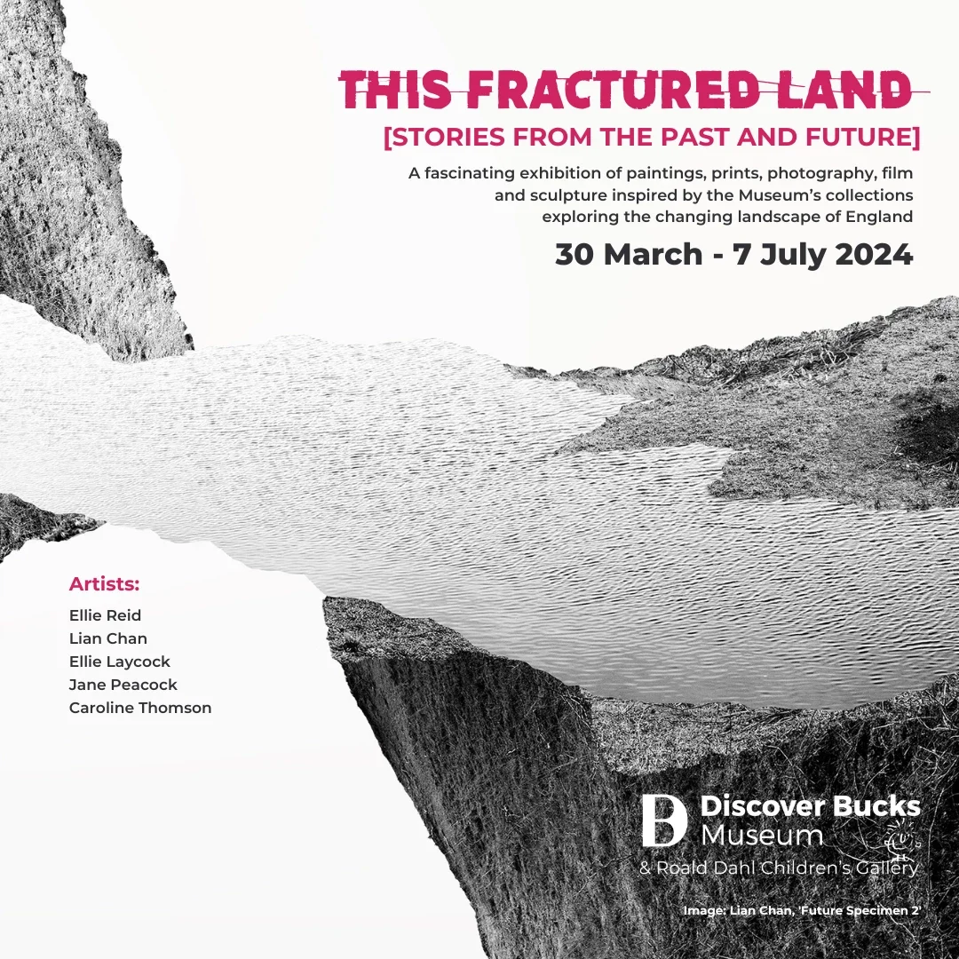 This Fractured Land Art Exhibition