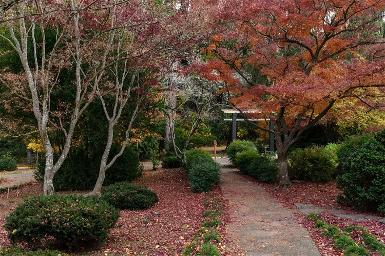 Lithia Park