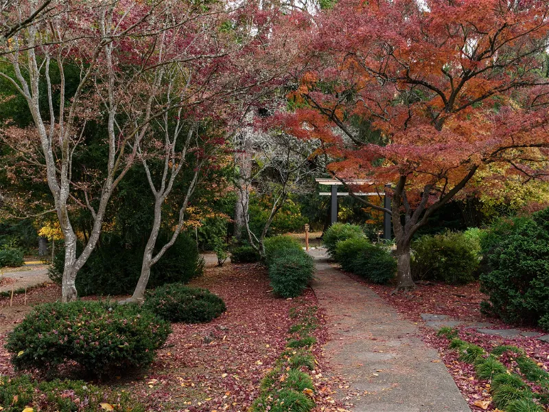 Lithqa Lithia Park (Ashland) - Visitor Information & Reviews