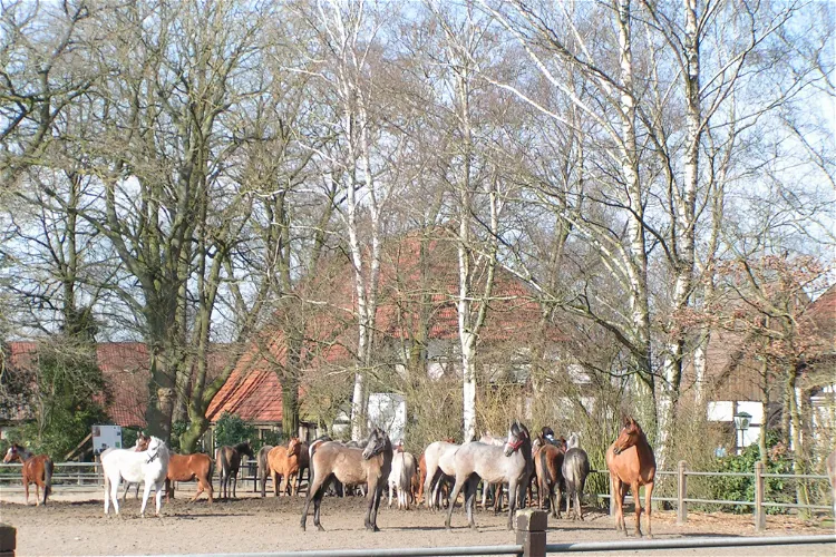 Tierpark Ströhen