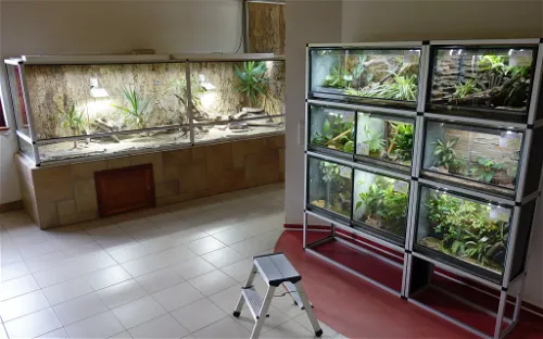 Schmetterlingshaus Jonsdorf